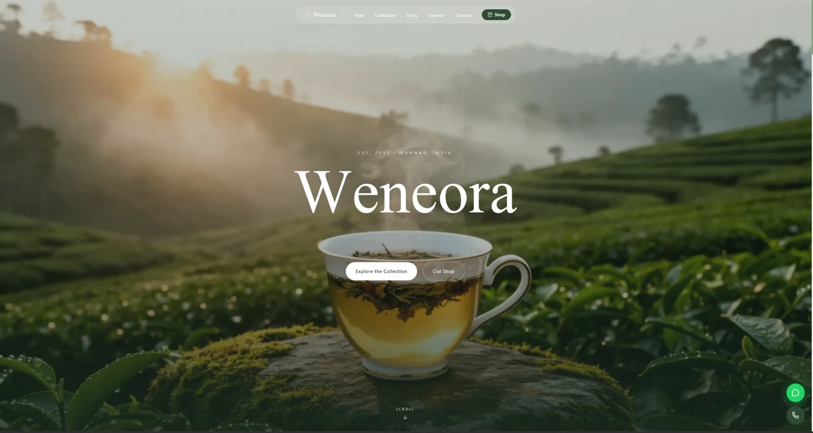 Weneora